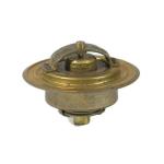 TERMOSTATO WAHLER 3087-89