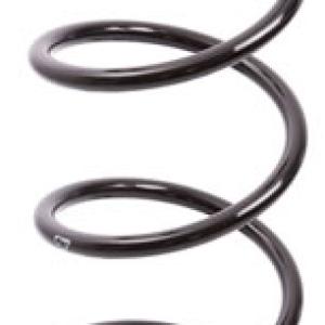 ESPIRAL RESORTE SUSPENSION AG 072083R