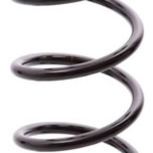 ESPIRAL RESORTE SUSPENSION AG 072089R