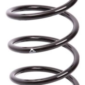 ESPIRAL RESORTE SUSPENSION AG 191032