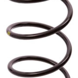 ESPIRAL RESORTE SUSPENSION AG 191048R