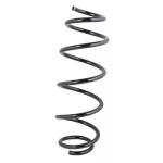 ESPIRAL RESORTE SUSPENSION AG 191106