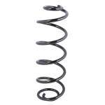 ESPIRAL RESORTE SUSPENSION AG 191107