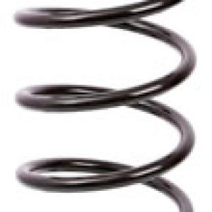 ESPIRAL RESORTE SUSPENSION AG 213009R