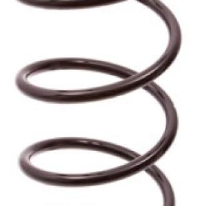 ESPIRAL RESORTE SUSPENSION AG 213019R