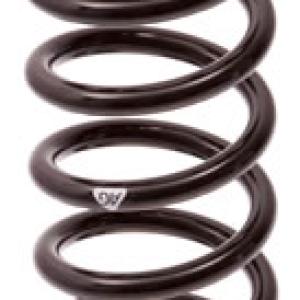 ESPIRAL RESORTE SUSPENSION AG 213106TP