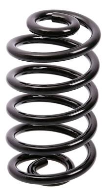 ESPIRAL RESORTE SUSPENSION AG 213112R