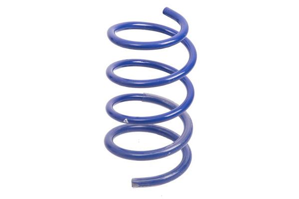 ESPIRAL RESORTE SUSPENSION AG 213114K