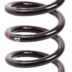 ESPIRAL RESORTE SUSPENSION AG 213116TP