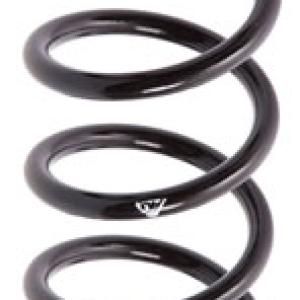 ESPIRAL RESORTE SUSPENSION AG 213124R