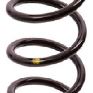 ESPIRAL RESORTE SUSPENSION AG 213134