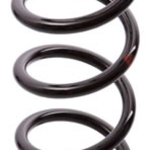 ESPIRAL RESORTE SUSPENSION AG 213134TP