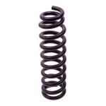 ESPIRAL RESORTE SUSPENSION AG 213155