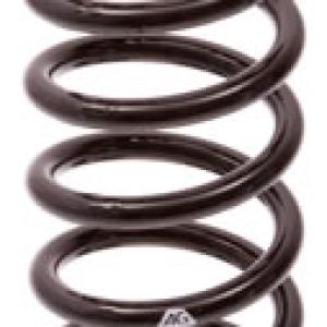 ESPIRAL RESORTE SUSPENSION AG 235054