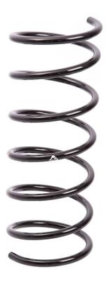 ESPIRAL RESORTE SUSPENSION AG 251012R