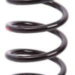 ESPIRAL RESORTE SUSPENSION AG 251013TP