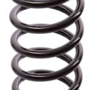 ESPIRAL RESORTE SUSPENSION AG 251021TP