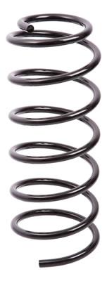 ESPIRAL RESORTE SUSPENSION AG 251022R