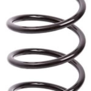 ESPIRAL RESORTE SUSPENSION AG 251031