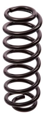 ESPIRAL RESORTE SUSPENSION AG 251075R