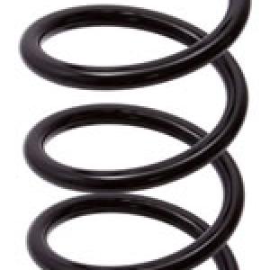 ESPIRAL RESORTE SUSPENSION AG 251206R