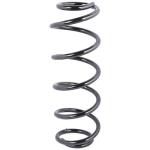 ESPIRAL RESORTE SUSPENSION AG 251216