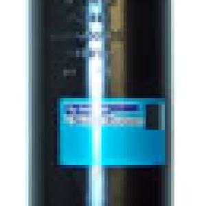 AMORTIGUADOR DELANTERO SACHS 315 489