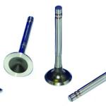 VALVULA DE MOTOR MAHLE 1710 A