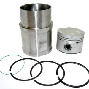 CONJUNTO DE MOTOR PERFECT CIRCLE PC245