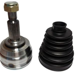 HOMOCINETICA NAKATA NJH08-6491