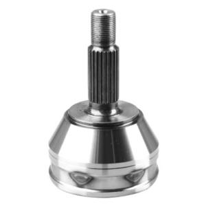 HOMOCINETICA NAKATA NJH91-259