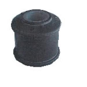 BUJE DE EXTREMO DIRECCION VTH 5480