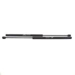 RESORTE NEUMATICO GAS SPRING LIFTGATE 13583