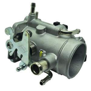 CUERPO MARIPOSA HELLUX HE17099152