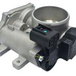 CUERPO MARIPOSA HELLUX HETB10045