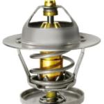 TERMOSTATO VALCLEI 2239.88