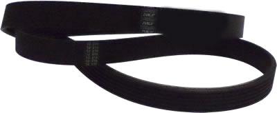 CORREA MICRO V SKF 6PK1600