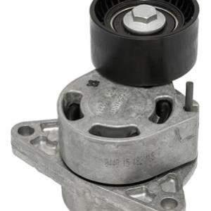 TENSOR DE MOTOR SKF VKM 36041