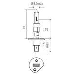 LAMPARA HALOGENA HELLA 178555141