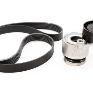 KIT CORREA MICRO V RENAULT 117203694R I