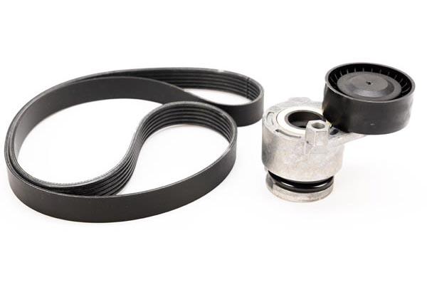 KIT CORREA MICRO V RENAULT 117203694R I