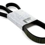 CORREA MICRO V RENAULT 117206190R I