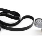 CORREA MICRO V RENAULT 117200919R I