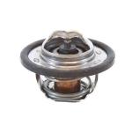 TERMOSTATO RENAULT 8200772985 I