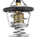 TERMOSTATO MAHLE TX 117 95D
