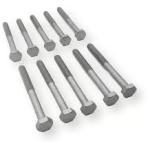 BULONES DE TAPA DE CILINDROS RENO 09VW0259