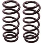 ESPIRAL RESORTE SUSPENSION AG 41058