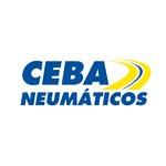 Ceba Neumáticos y Servicios Rep de Michelin